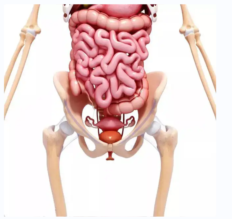 【醫(yī)療科普】：骨盆保護(hù)
